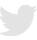 Twitter Icon